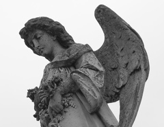 Angel Editing Services